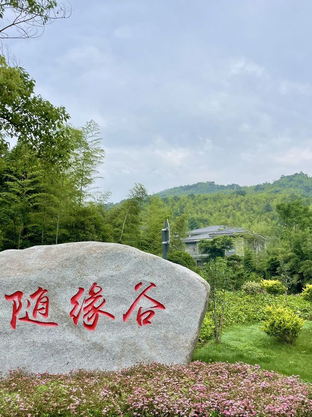宜興週末| 逃離喧囂，住進山野溫泉的愜意時光