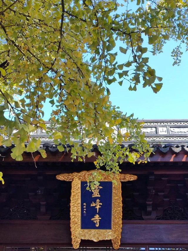 來安吉過個夏｜旅行攻略