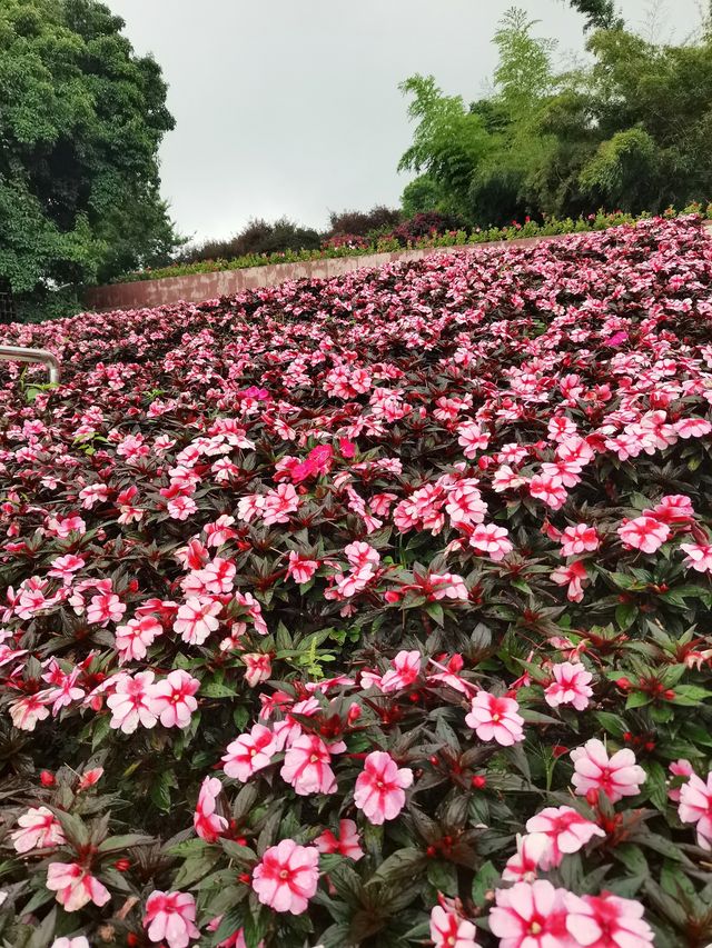 暑假旅行指南 |元享受的精彩吸氧之旅