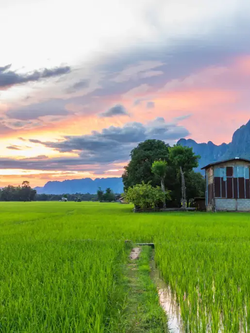 라오스, 고요한 아름다움: 고속철도로 직행하는 세상 밖의 여행