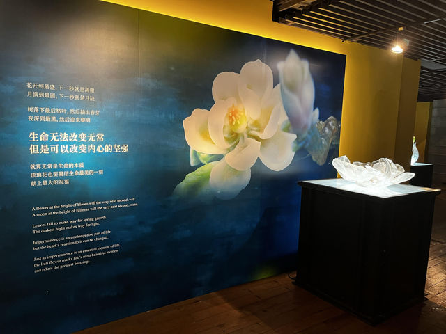 前往田子坊時絕對不要錯過的博物館