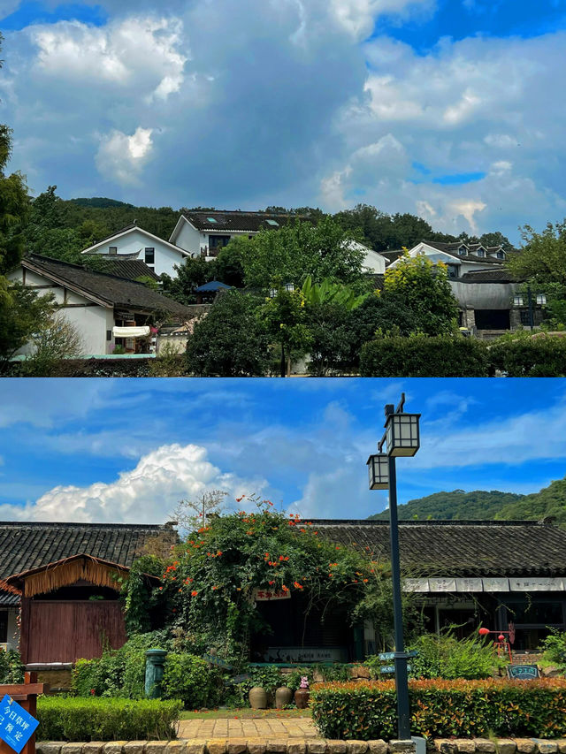 南京不老村︱解開那些不值得一提的迷茫