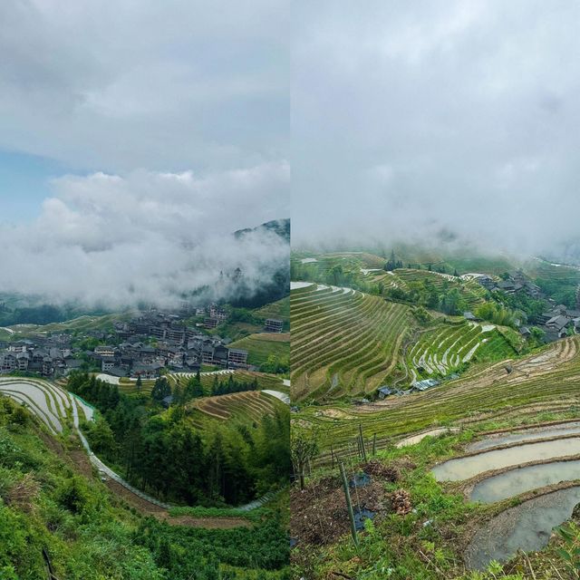 龍脊梯田· 山是龍的脊，田是雲中梯