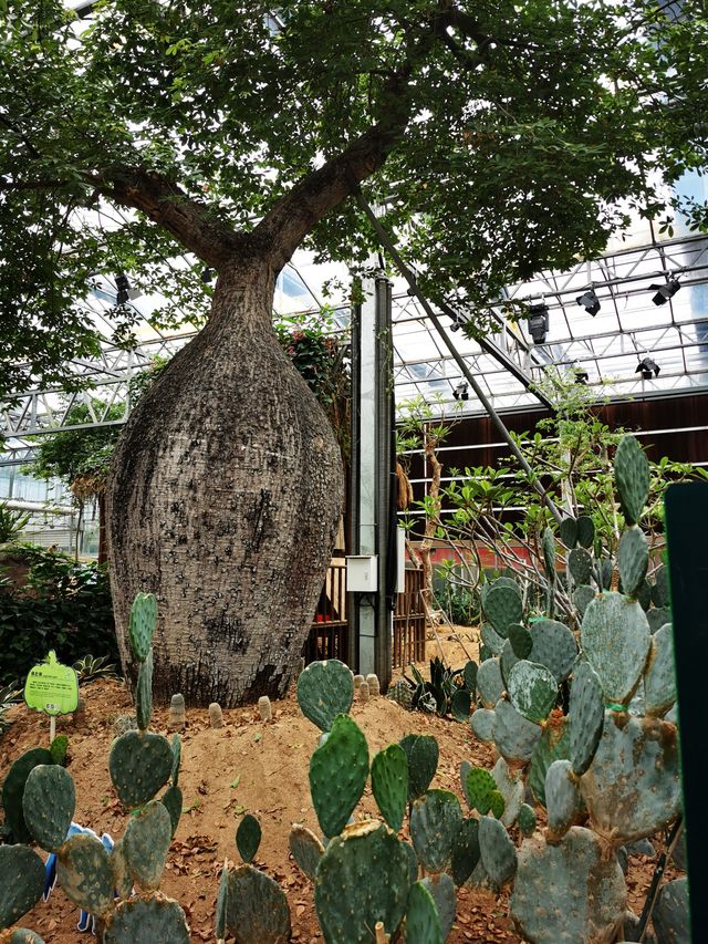 【山東】壽光市蔬菜高科技示範園