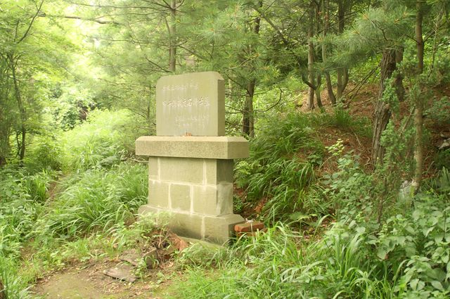 大鹿島與甲午海戰