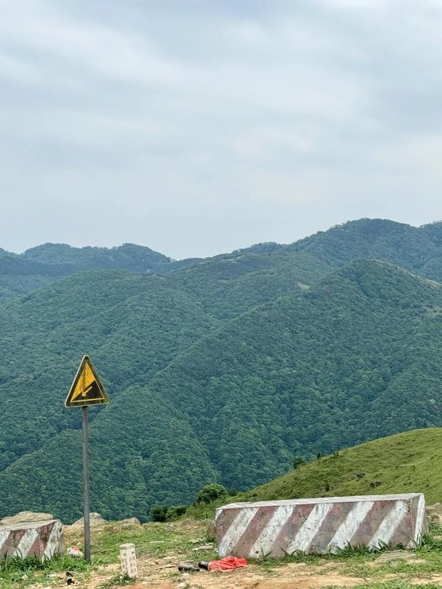 广西旅游/0元打卡“小新疆”一日游最新攻略