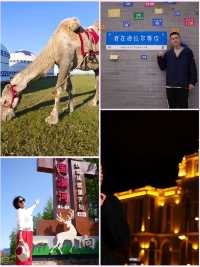 呼倫貝爾大草原旅遊攻略