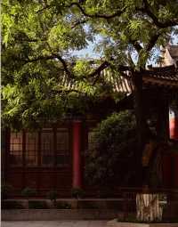 西安小眾打卡地，人少景美！|||