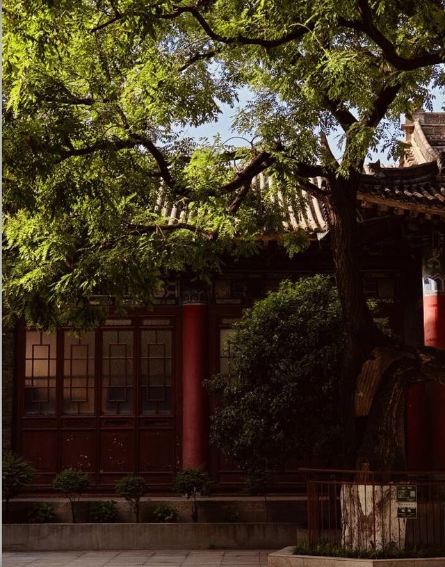 西安小眾打卡地，人少景美！|||