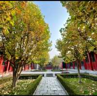 Shenyang Forbidden city in autumn 🍂 