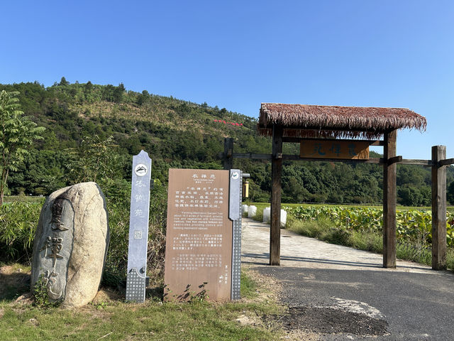不可錯過的靜修之地——江西吉安青原山。