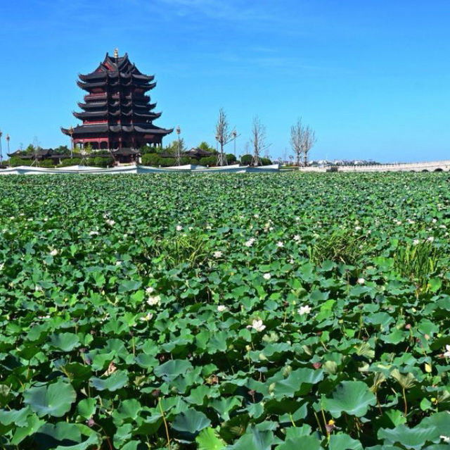 【蘇州/重元寺】湖の中のお寺！1500年の歴史を感じよう！ | Trip.com 蘇州