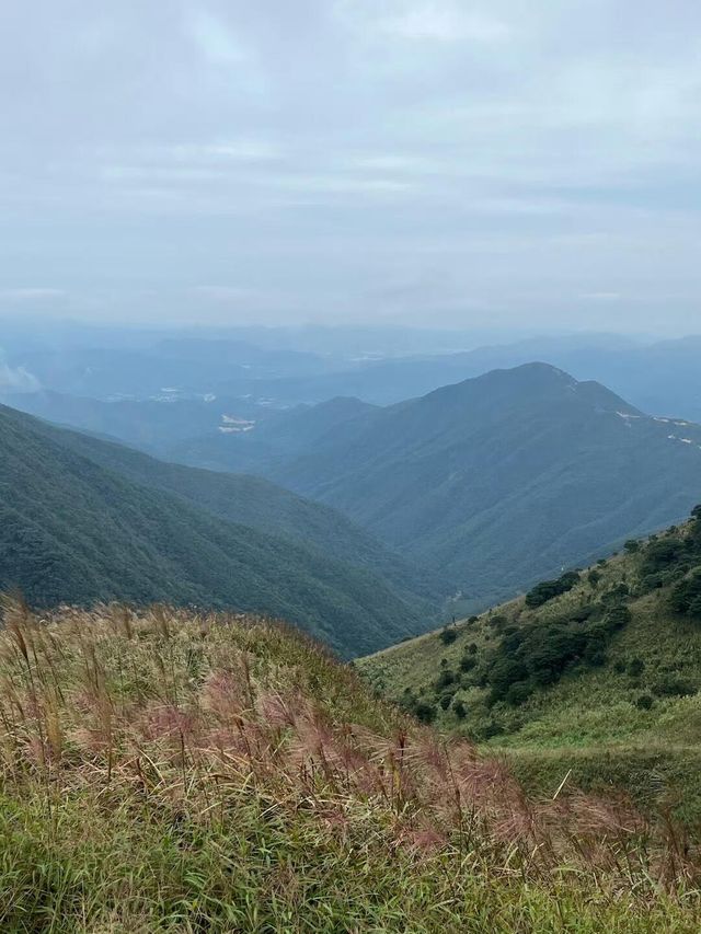 惠州大南山 惠州大南山