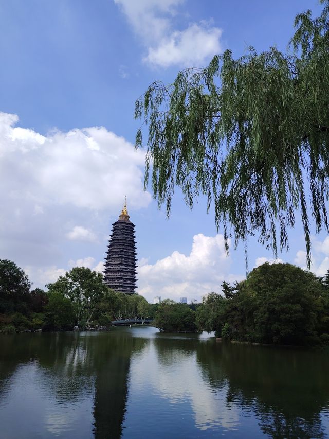 來常州必到的景點→紅梅公園。