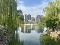 西安興慶宮公園小記。