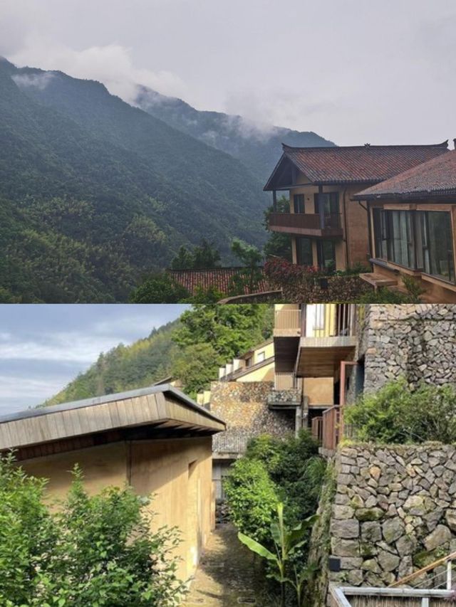 承包松陽古村雲海!700米山谷間的原舍揽樹。