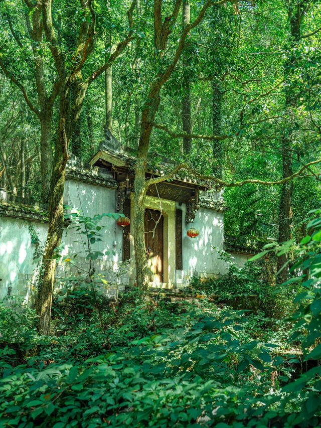我宣佈富陽嘅山水就係一幅現實版嘅富春山居圖|。