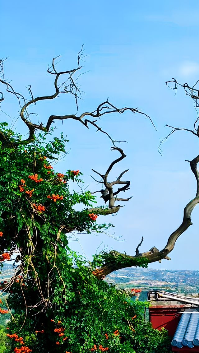 穿越時空的對話:山西黑神話取景地探幽。