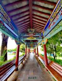 玉溪避暑之選：寧州公園。