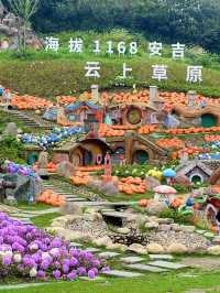 海拔1168米，居然藏着童話世界。