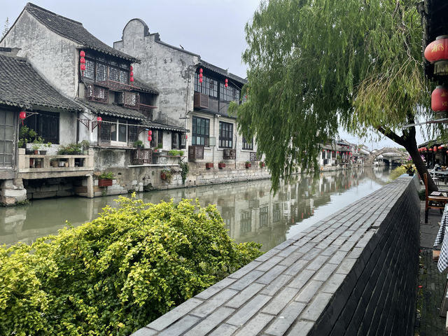 探訪楓涇古鎮：水鄉詩意與細雨交織的慢時光。