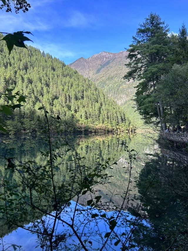 九寨溝鏡海秋日遊玩攻略。