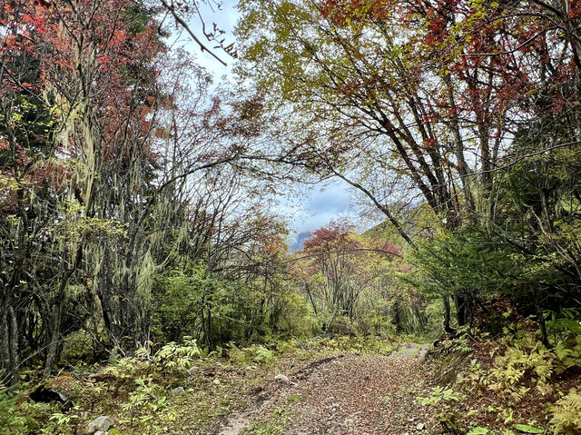 索松村 - 南迦巴瓦大本營 - 索松村。