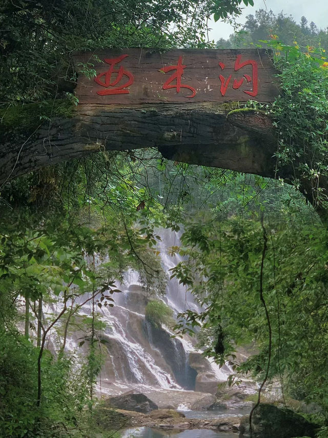 貴州亞木溝能勸一個是一個！怎樣正確吸氧！。