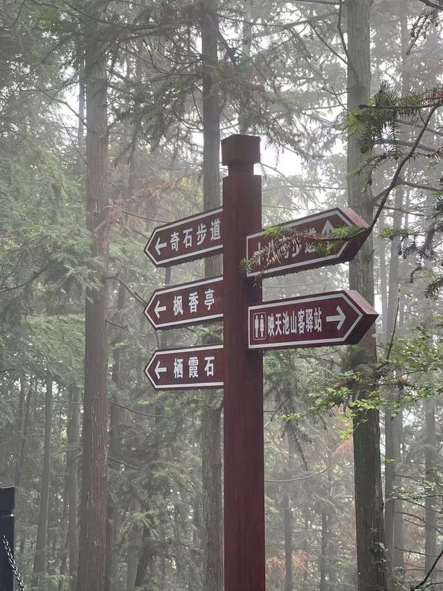 在森林中央靜享時光。
通城錫山華美達酒店邂逅世外桃源般的度假勝地。