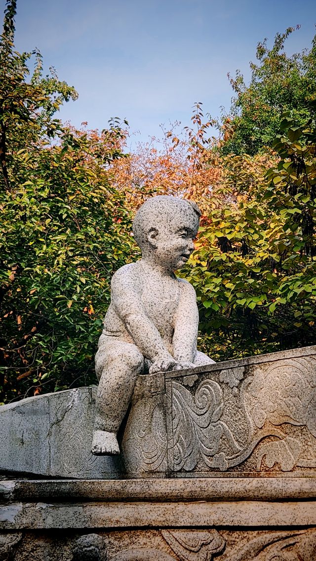 秋色暈染了豐慶公園的眉梢。
