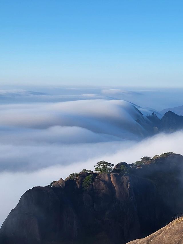 這就是黃山嗎！怎麼會這麼美呢？。