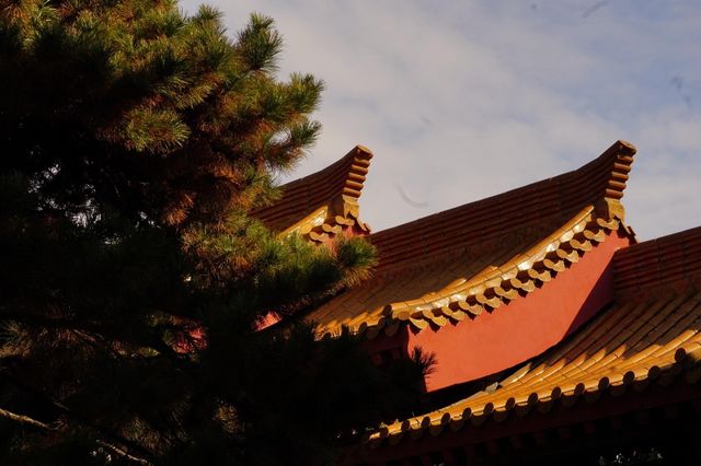 寶蓮寺探秘：千年古剎的禪意之旅。
