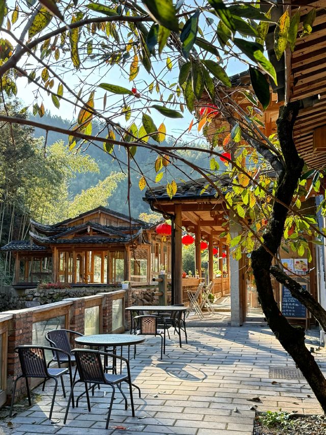 屏南賞秋之旅：柿子海中的詩意與煙火。