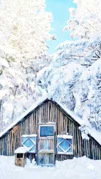 老里克湖的住宿很冷嗎？