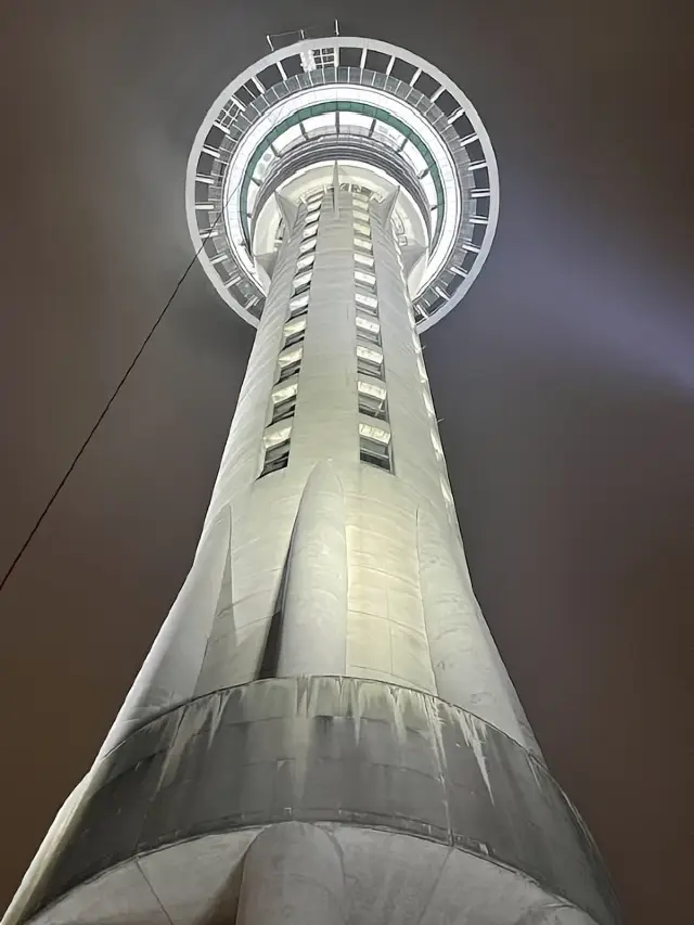 A breathtaking view from New Zealand's Sky Tower! 