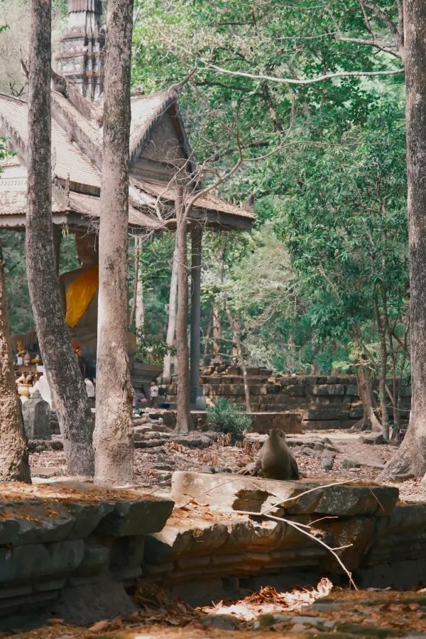 Siem Reap and Angkor Wat Three-Day Tour: Essential Experiences and Lessons (Part 1)