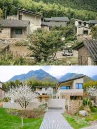 YAZA野在山川酒店。