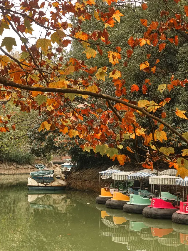 3-Day Shaoguan Itinerary | Even More Beautiful in Winter.