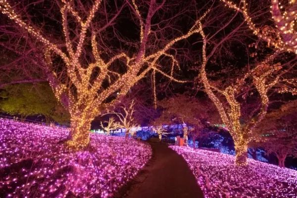 This place is truly dreamy! So cute!