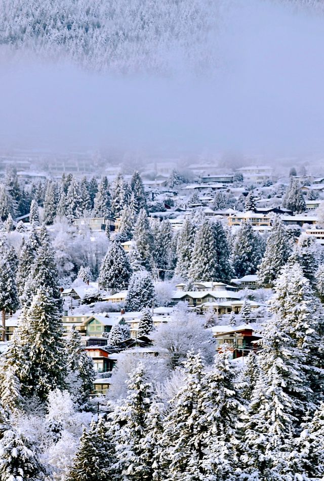 當溫哥華變成「雪哥華」—銀裝素裹的城市童話