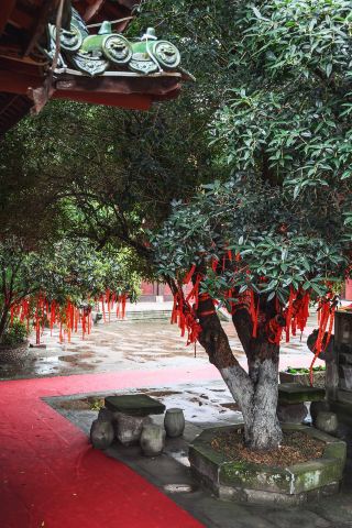There are many ancient relics hidden here, just two hours from Chengdu. Worth a visit!
