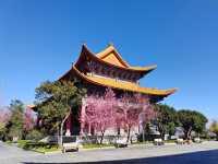 三塔倒影公園穿越千年的人間淨土