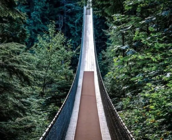 Explore the Iconic Capilano Suspension Bridge Park in Vancouver