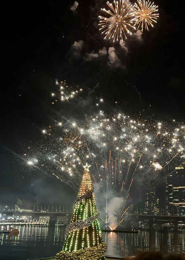 Experience the 7-Minute Fireworks Show at Darling Harbour