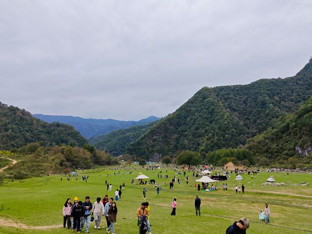藏在秦嶺深處的天然牧場