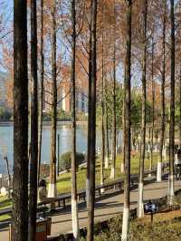 臨滄市玉龍湖公園