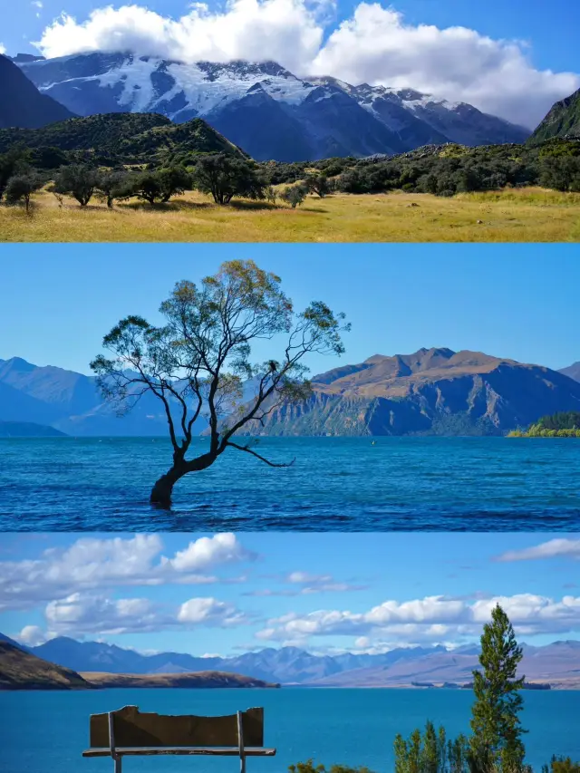 겨울 방학에 뉴질랜드 3일 추천 여행
