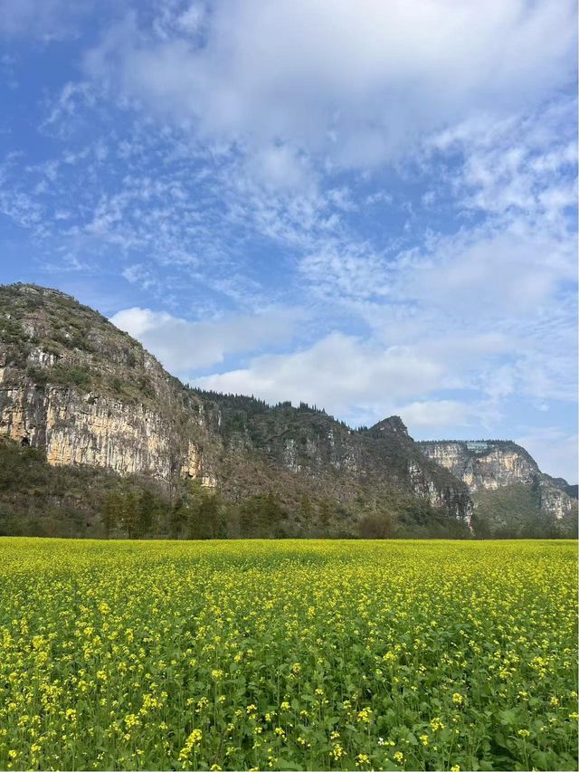 廣州打工仔挑戰每週末旅遊第47站→貴州