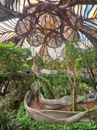 為了這家鳥巢餐廳專門飛了一趟Tulum…
