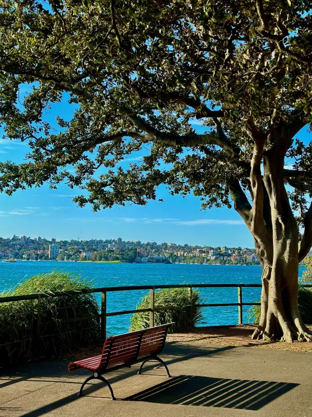 호주 11일 가족 여행 즐겁게 즐기기